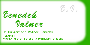 benedek valner business card